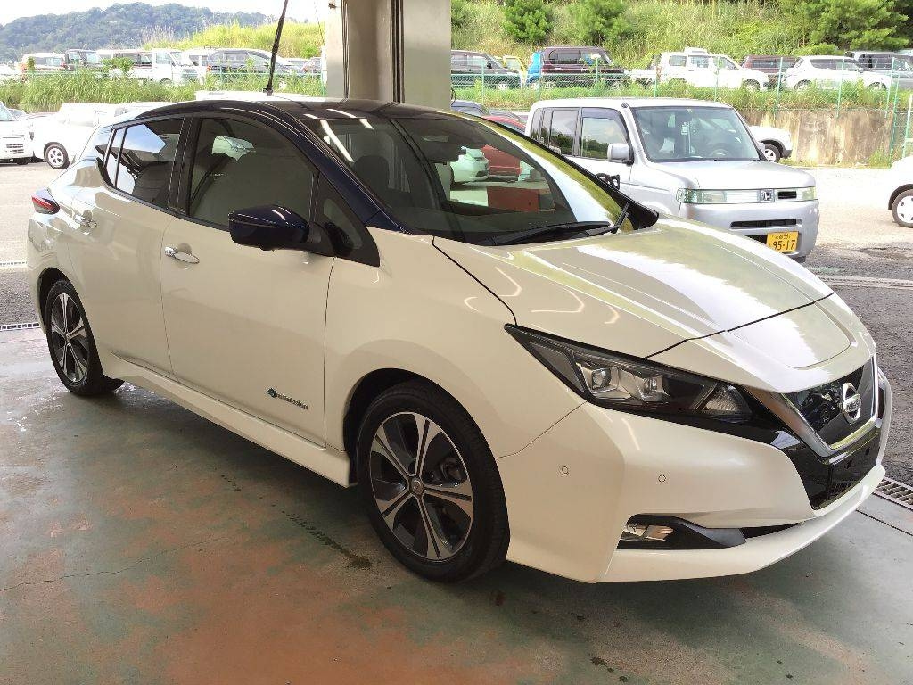 Nissan Leaf 2017